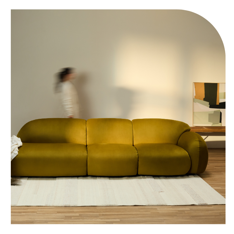 Mondino · OLIVE
